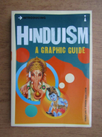 Vinay Lal - Hinduism, a graphic guide