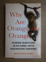 Why are orangutans orange?