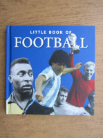 Michael Heatley - Little book of football