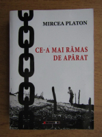 Mircea Platon - Ce-a mai ramas de aparat