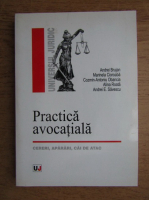 Andrei Brujan - Practica avocatiala