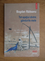 Bogdan Raileanu - Tot spatiul dintre gandurile mele