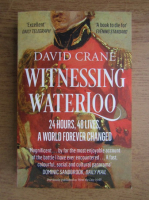 David Crane - Witnessing Waterloo