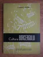 C. Galan - Cultura Borceagului