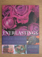 Everlastings, natural displays with dried flowers