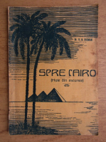 V. N. Ricman - Spre Cairo. Note din excursie (1929)