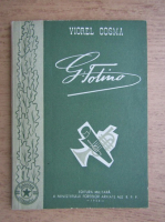 Viorel Cosma - George Fotino