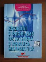 Mihai Haivas - Exercitii si probleme de algebra si analiza matematica