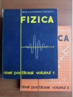 Mircea Alexandru Oncescu - Fizica, nivel postliceal (2 volume)