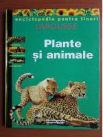 Anticariat: Plante si animale. Enciclopedia pentru tineri. Larousse