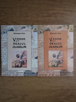Gheorghe Paun - Vedere de pe Dealul Olarilor (2 volume)
