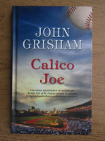 Anticariat: John Grisham - Calico Joe