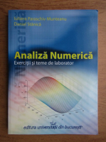 Iuliana Paraschiv Munteanu, Daniel Stanica - Analiza numerica. Exercitii si teme de laborator (2008)