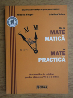 Mihaela Singer, Cristian Voica - De la matematica la mate practica