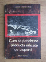N. Mateescu - Cum se pot obtine productii ridicate de ciuperci