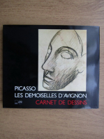 Picasso. Les demoiselles d'Avignon, carnet de dessins