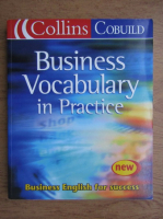 Sue Robbins - Business vocabulary in practice