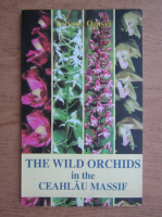 Tatiana Onisei - The wild orchids in the Ceahlau Massif
