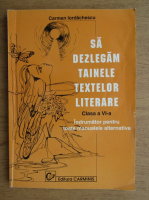 Carmen Iordachescu - Sa dezlegam tainele textelor literare. Clasa a VI-a (2001)