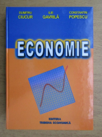 Dumitru Ciucur - Economie