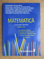 Florica Banu - Matematica. Culegere pentru clasa a VI-a (2007)
