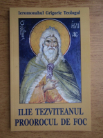 Grigorie Teologul - Ilie Tezviteanul proorocul de foc