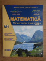 Ion D. Ion - Matematica. Manual pentru clasa a XII-a, M1 