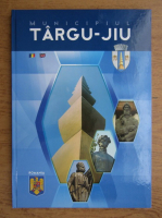 Municipiul Targu-Jiu