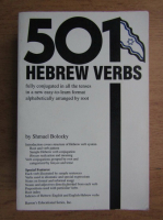Shmuel Bolozky - 501 hebrew verbs