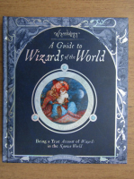 A guide to wizards of the world