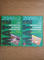Dan Branzei - Aritmetica, algebra, geometrie clasa a VI-a (volumele 1 si 2)