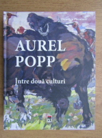 Dumitru Pacuraru - Aurel Popp. Intre doua culturi