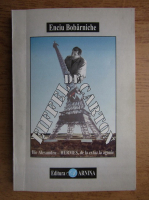 Enciu Bobarniche - Eiffel de carton