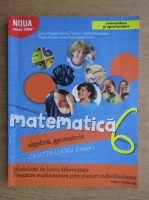 Sorin Peligrad - Matematica 6, algebra, geometrie, 2017 (partea 1)