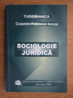 Tudor Amza, Cosmin Petronel Amza - Sociologie juridica