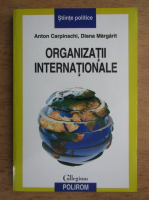 Anton Carpinschi - Organizatii internationale