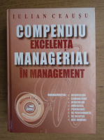 Iulian Ceausu - Compendiu excelenta managerial in management (contine CD)