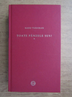 Radu Tudoran - Toate panzele sus (volumul 1)