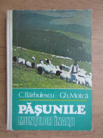 Constantin Barbulescu - Pasunile muntilor inalti