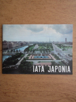 Iata Japonia (ghid de calatorie)