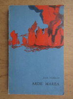 Jean Nedelcu - Arde marea