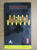 Anticariat: Monica Livia Plamadeala - Dictionar roman-german