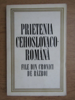 Prietenia cehoslovaca-romana. File din cronici de razboi