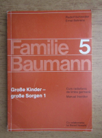 Rudolf Schneider - Familie Baumann (volumul 5)