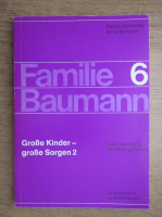 Rudolf Schneider - Familie Baumann (volumul 6)