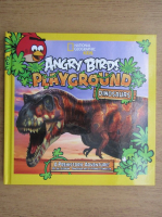 Angry Birds playground