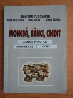 Dumitru Tudorache - Moneda, banci, credit. Lucrari practice, studii de caz, clinici
