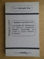 Gheorghe Boja - Modele matematice