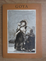 Anticariat: Goya dessins