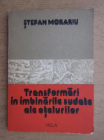 Stefan Morariu - Transformari in imbinarile sudate ale otelurilor